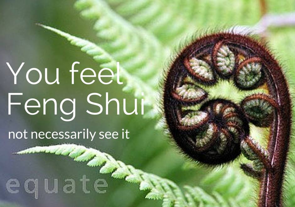 Equate Feng Shui