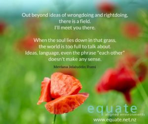 out-beyond-ideas-of-wrongdoing-and-rightdoing_rumi_equate