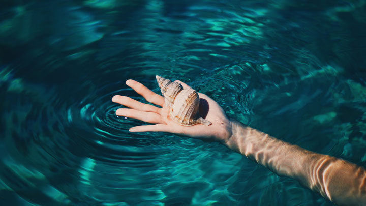 A woman's hand emerges from the water holding a sea shell. FInding connection and staying grounded while the energy around you flows is the essence of feng shui