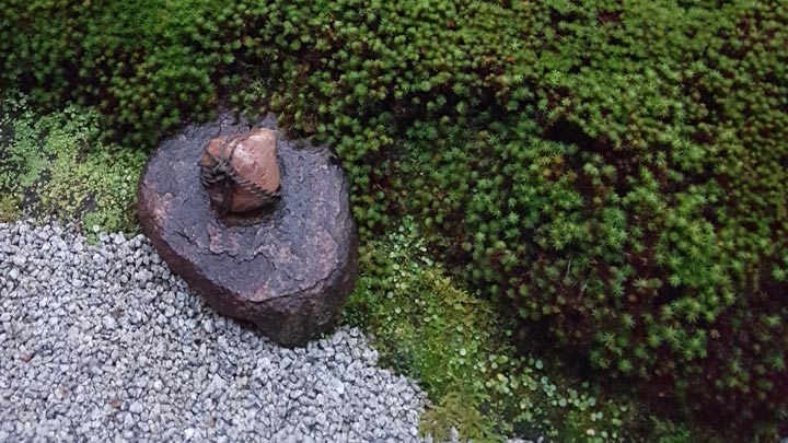feel-grounded-with-feng-shui-equate