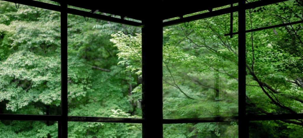 Japanese bath house looking out to forest with beams creating negative space