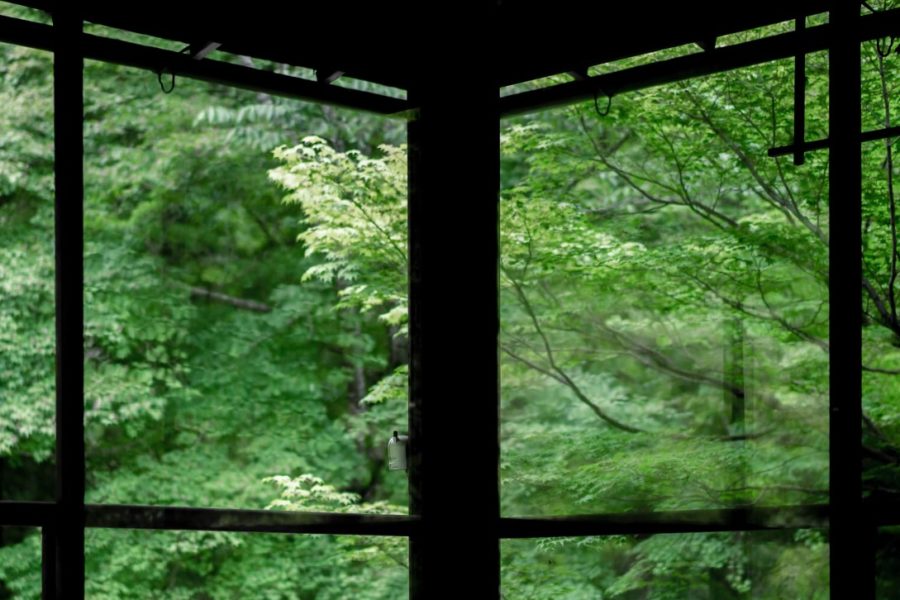 Japanese bath house looking out to forest with beams creating negative space