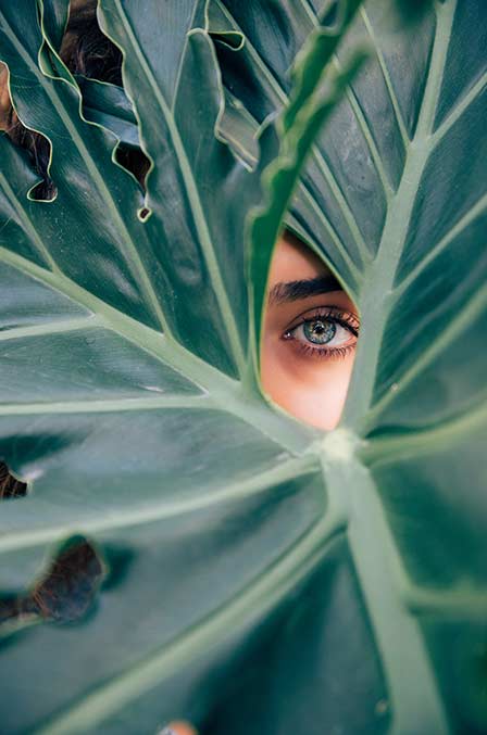 A woman looking through a big green leaf