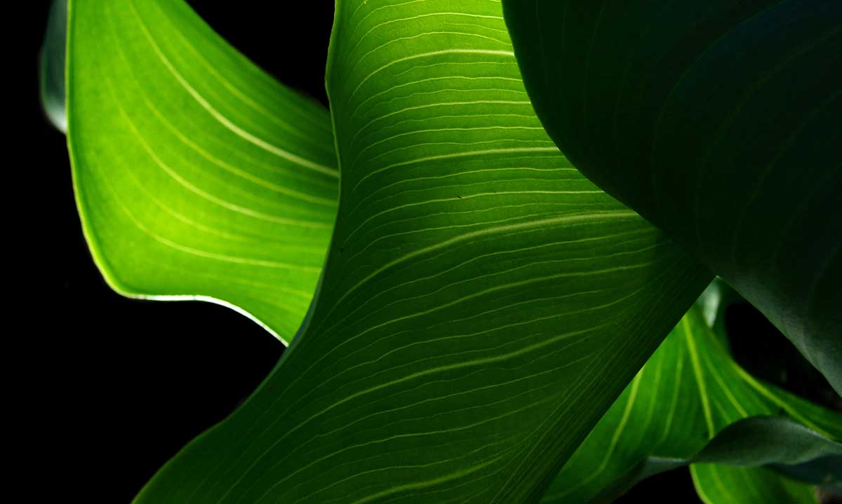 We Are All Connected