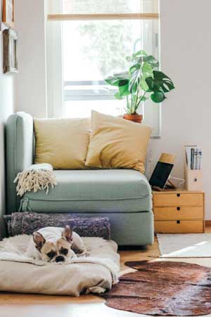 Cosy-Planning-corner-for-earth-Equate-Feng-Shui