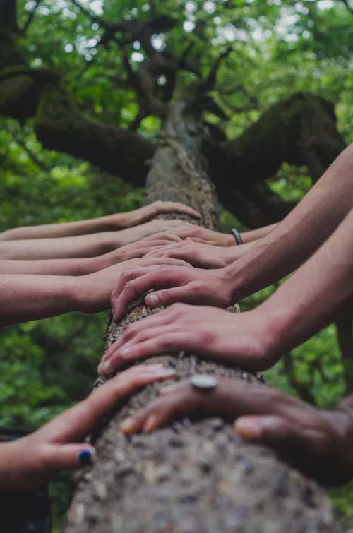 Hands on the trunk of a tree offering support and unity Equate Feng Shui 
