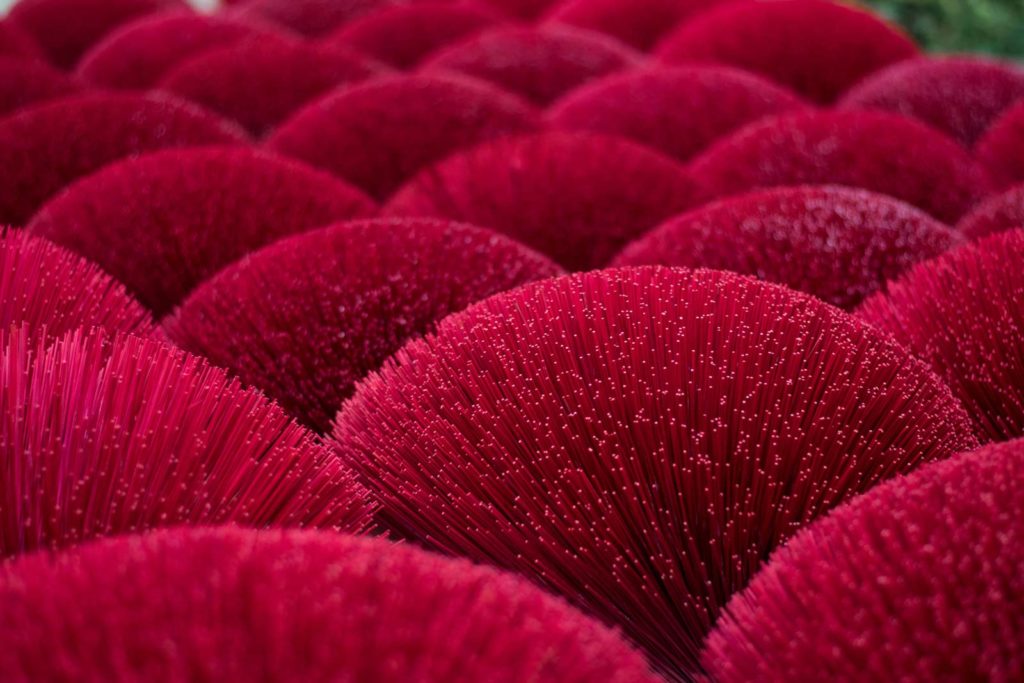 A field of red incense sticks in bundles makes an elegant wavy pattern