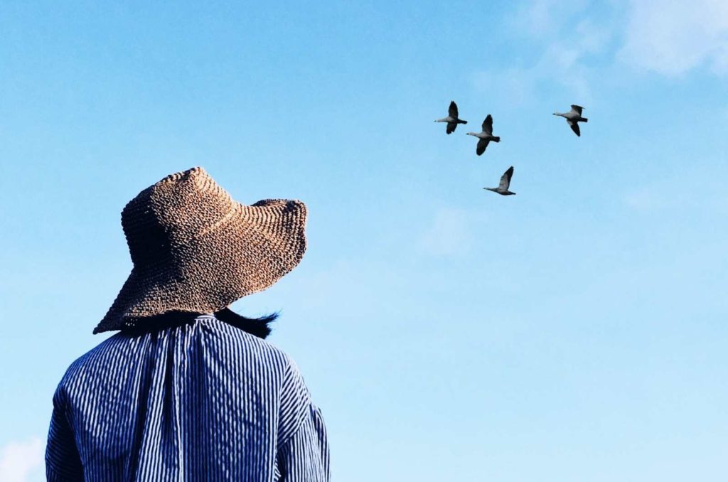 Person in a hat looking up at passing birds flying through a blue sky