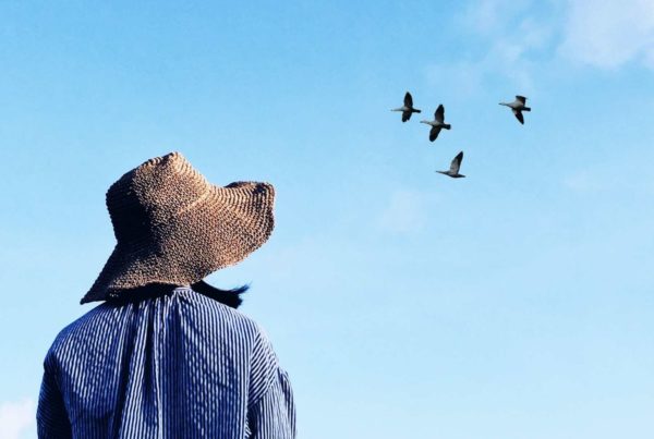 Person in a hat looking up at passing birds flying through a blue sky